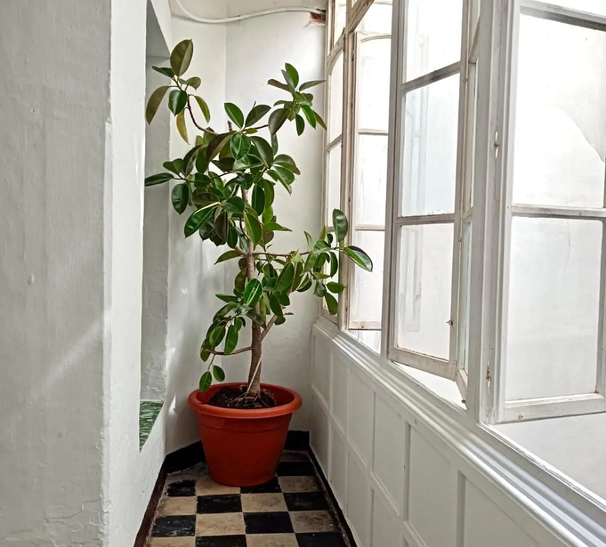 Precioso Apartamento: La Luz De Cadiz Spain